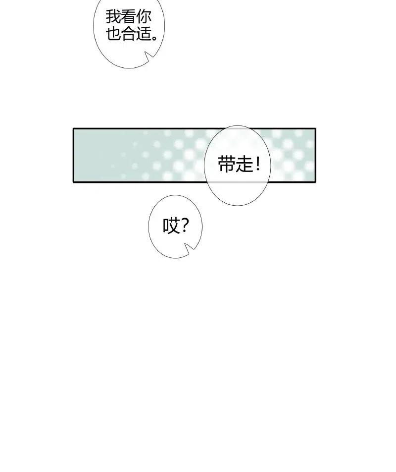 050 花开花谢10