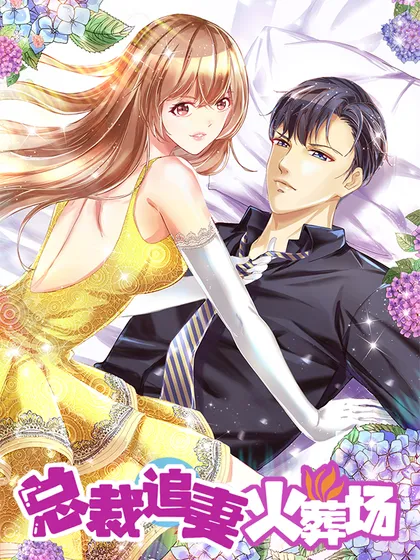 总裁追妻火葬场(总裁追妻记)