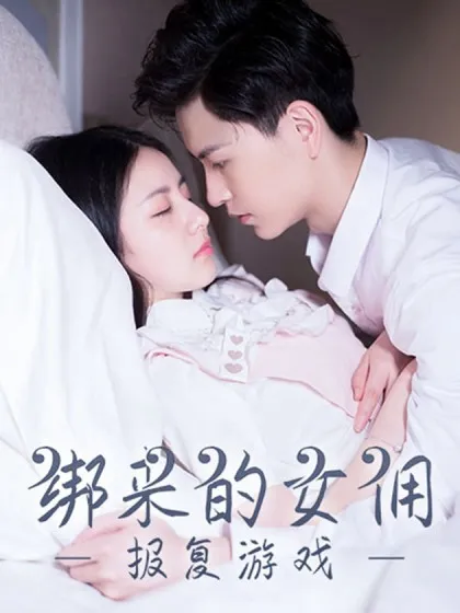 报复游戏:绑来的女佣