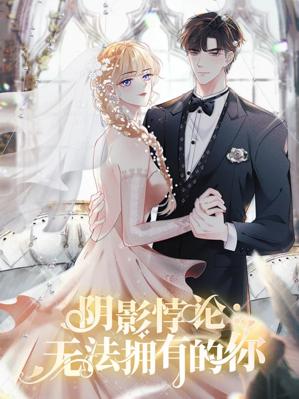 阴影悖论:无法拥有的你